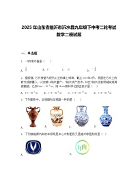 2025年山东省临沂市沂水县九年级下中考二轮考试数学二模试题（含答案解析）
