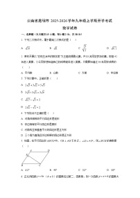 云南省昆明市2025-2026学年九年级上学期开学考试数学试卷（学生版）