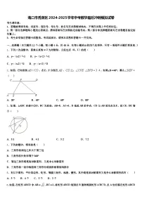 海口市秀英区2024-2025学年中考数学最后冲刺模拟试卷含解析
