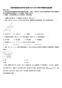 广西壮族自治区玉林市兴业县2024-2025学年中考数学仿真试卷含解析