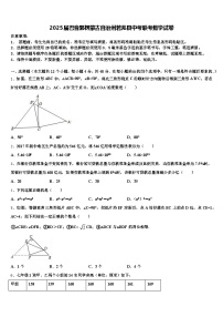 2025届巴音郭楞蒙古自治州若羌县中考联考数学试卷含解析