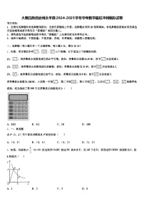 大理白族自治州永平县2024-2025学年中考数学最后冲刺模拟试卷含解析