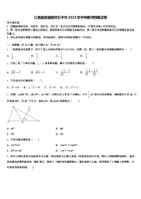 江西省景德镇市乐平市2025年中考数学四模试卷含解析