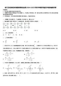 双江拉祜族佤族布朗族傣族自治县2024-2025学年中考数学最后冲刺浓缩精华卷含解析