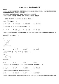 兴安县2025年中考数学四模试卷含解析