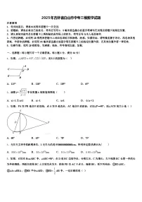 2025年吉林省白山市中考三模数学试题含解析