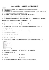 2025年山东省济宁市邹城市中考数学模拟预测试卷含解析