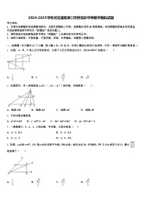 2024-2025学年河北省张家口市桥东区中考数学模拟试题含解析