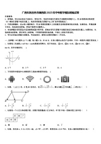 广西壮族百色市靖西县2025年中考数学模拟精编试卷含解析