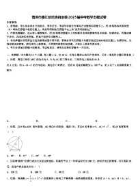 普洱市墨江哈尼族自治县2025届中考数学五模试卷含解析