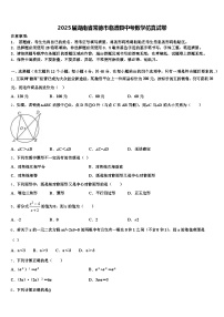 2025届湖南省常德市临澧县中考数学仿真试卷含解析