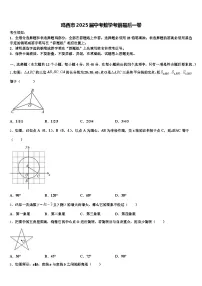 鸡西市2025届中考数学考前最后一卷含解析