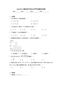 2025年上海市初中学业水平考试数学试卷（附答案解析）