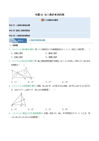 专题02 与三角形有关的角 3大高频考点（期中真题汇编）八年级数学上学期人教版