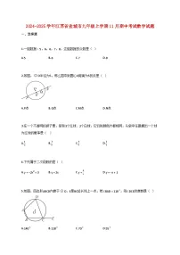 2024_2025学年江苏省盐城市九年级上学期11月期中考试数学试卷【附答案】