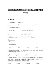 2025年山东省威海乳山市中考二模九年级下学期数学试题（含答案解析）
