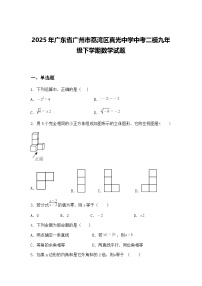 2025年广东省广州市荔湾区真光中学中考二模九年级下学期数学试题（含答案解析）