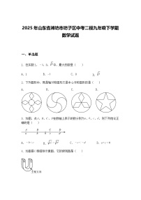 2025年山东省潍坊市坊子区中考二模九年级下学期数学试题（含答案解析）