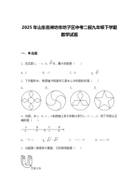 2025年山东省潍坊市坊子区中考二模九年级下学期数学试题（含答案解析）