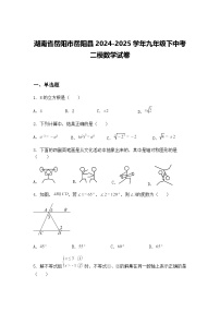 湖南省岳阳市岳阳县2024-2025学年九年级下中考二模数学试卷（含答案解析）