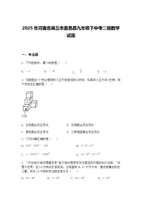 2025年河南省商丘市夏邑县九年级下中考二模数学试题（含答案解析）