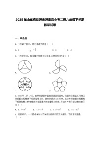 2025年山东省临沂市沂南县中考二模九年级下学期数学试卷（含答案解析）