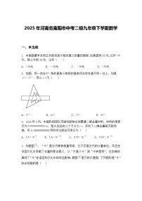 2025年河南省南阳市中考二模九年级下学期数学试卷（含答案解析）
