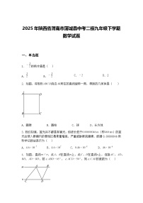 2025年陕西省渭南市蒲城县中考二模九年级下学期数学试题（含答案解析）