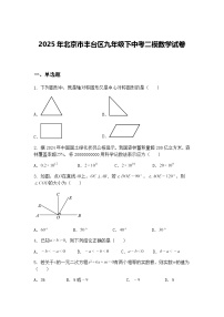 2025年北京市丰台区九年级下中考二模数学试卷（含答案解析）