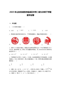 2025年山东省淄博市临淄区中考二模九年级下学期数学试卷（含答案解析）