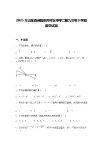 2025年山东省淄博市周村区中考二模九年级下学期数学试题（含答案解析）