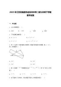 2025年江苏省南通市启东市中考二模九年级下学期数学试题（含答案解析）