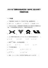 2025年广西柳州市鱼峰区等2地中考二模九年级下学期数学试题（含答案解析）