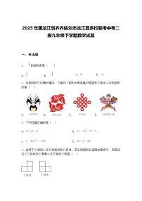 2025年黑龙江省齐齐哈尔市龙江县多校联考中考二模九年级下学期数学试题（含答案解析）