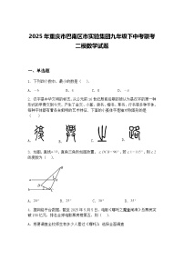 2025年重庆市巴南区市实验集团九年级下中考联考二模数学试题（含答案解析）