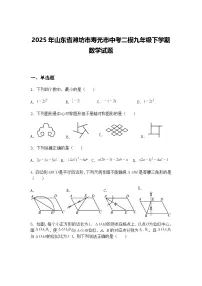 2025年山东省潍坊市寿光市中考二模九年级下学期数学试题（含答案解析）
