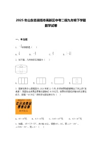 2025年山东省淄博市高新区中考二模九年级下学期数学试卷（含答案解析）
