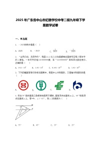 2025年广东省中山市纪雅学校中考二模九年级下学期数学试卷（含答案解析）