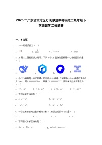 2025年广东省大湾区万阅联盟中考模拟二九年级下学期数学二模试卷（含答案解析）