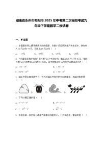 湖南省永州市祁阳市2025年中考第二次模拟考试九年级下学期数学二模试卷（含答案解析）