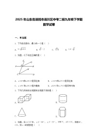 2025年山东省淄博市淄川区中考二模九年级下学期数学试卷（含答案解析）