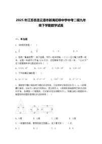 2025年江苏省连云港市新海初级中学中考二模九年级下学期数学试题（含答案解析）