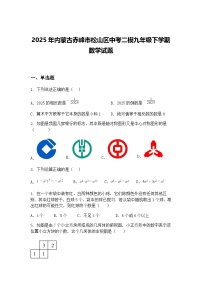 2025年内蒙古赤峰市松山区中考二模九年级下学期数学试题（含答案解析）