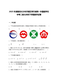 2025年湖南省长沙市开福区青竹湖湘一外国语学校中考二模九年级下学期数学试卷（含答案解析）