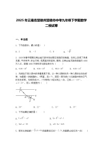 2025年云南省楚雄州楚雄市中考九年级下学期数学二模试卷（含答案解析）