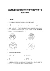 山西省吕梁市部分学校2025年中考二模九年级下学期数学试卷（含答案解析）