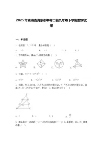 2025年青海省海东市中考二模九年级下学期数学试卷（含答案解析）
