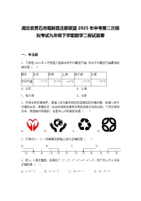湖北省黄石市阳新县北部联盟2025年中考第二次模拟考试九年级下学期数学二模试题卷（含答案解析）