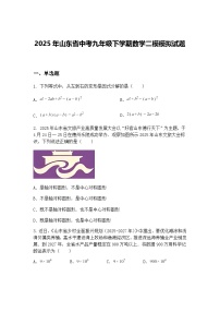 2025年山东省中考九年级下学期数学二模模拟试题（含答案解析）