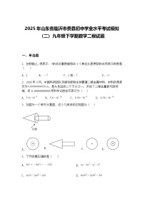 2025年山东省临沂市费县初中学业水平考试模拟（二）九年级下学期数学二模试题（含答案解析）